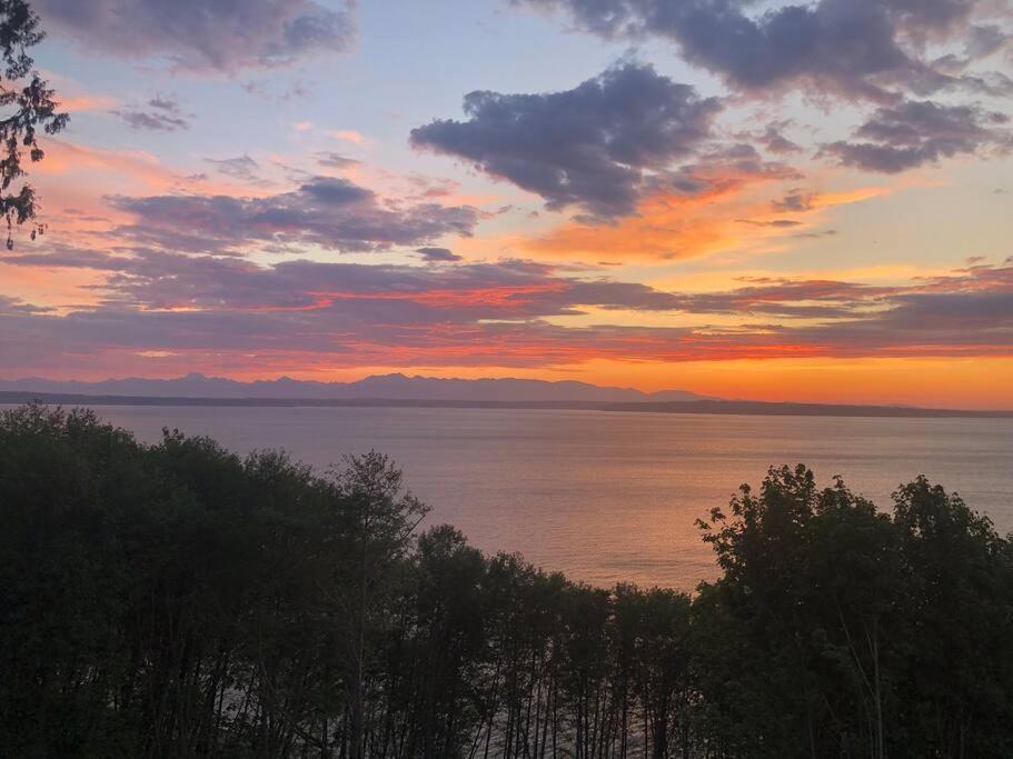 1-Bedroom Seaview Guesthouse On Seattle Luxury Estate With Views Of Olympic Mountains Ngoại thất bức ảnh