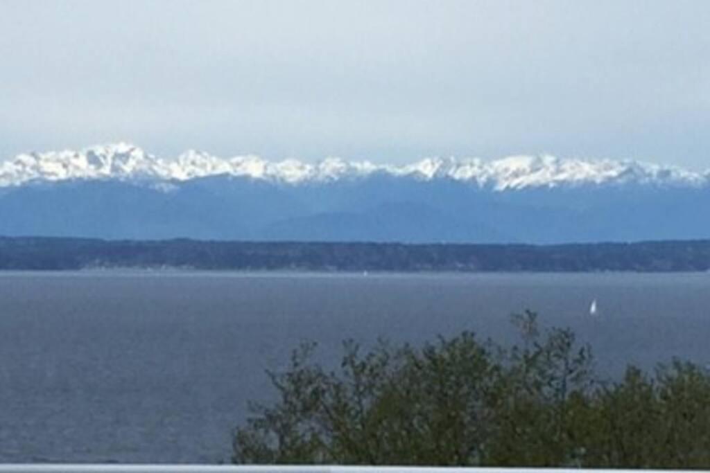 1-Bedroom Seaview Guesthouse On Seattle Luxury Estate With Views Of Olympic Mountains Ngoại thất bức ảnh