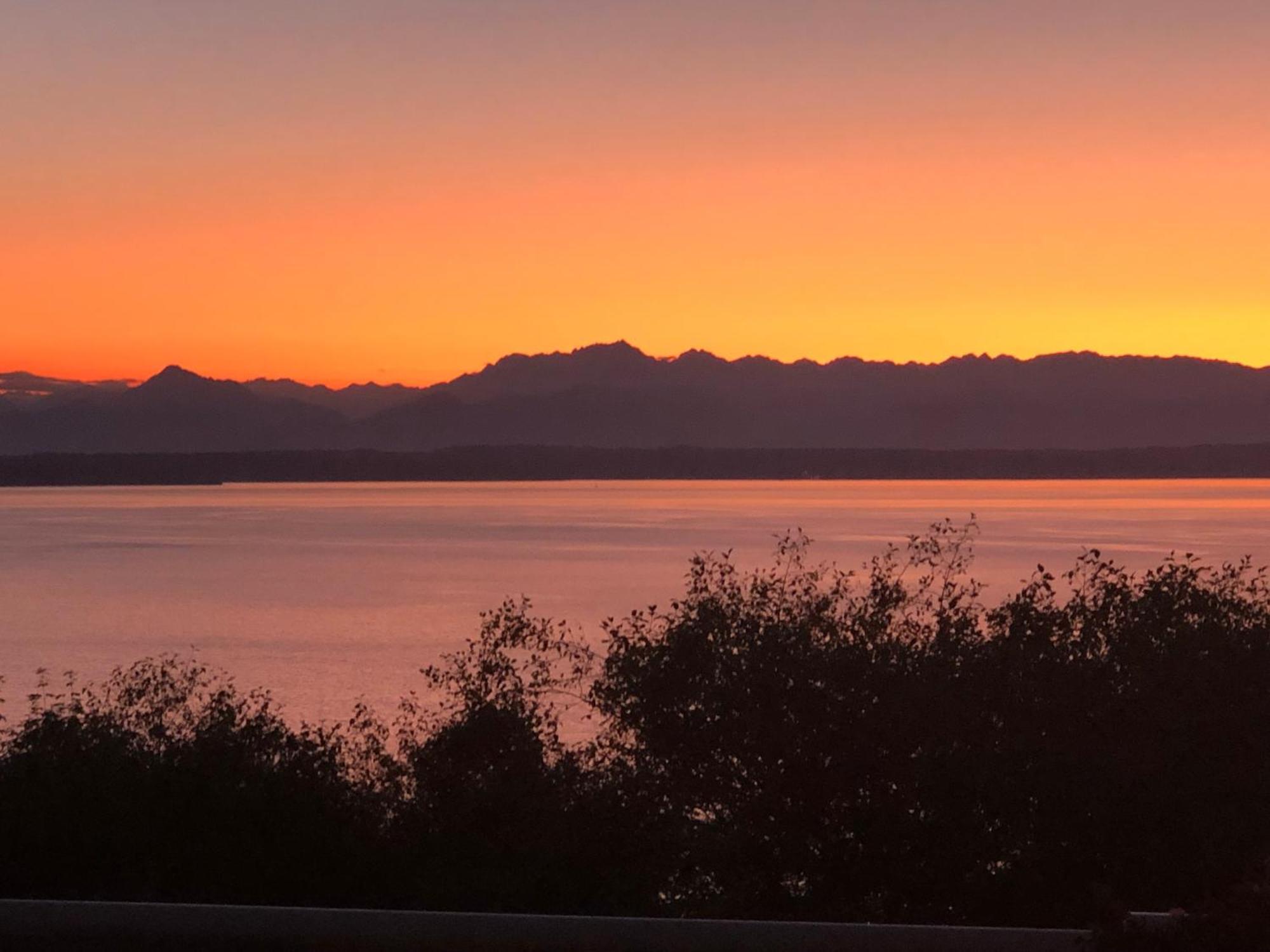 1-Bedroom Seaview Guesthouse On Seattle Luxury Estate With Views Of Olympic Mountains Ngoại thất bức ảnh